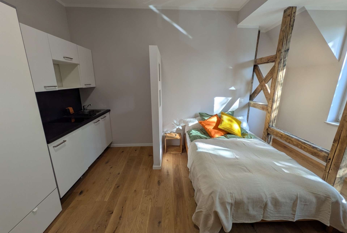 Wohn-/ Schlafbereich mit offener Küche