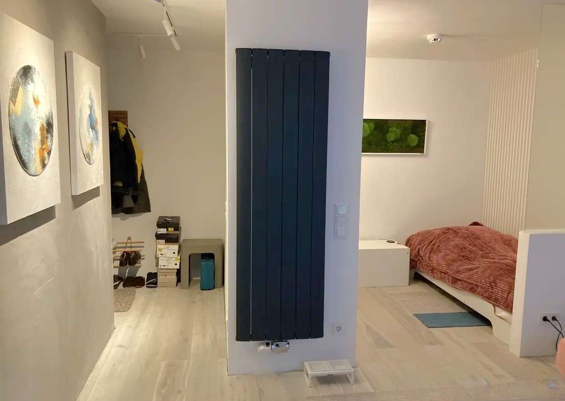 Wohn-Schlafzimmer