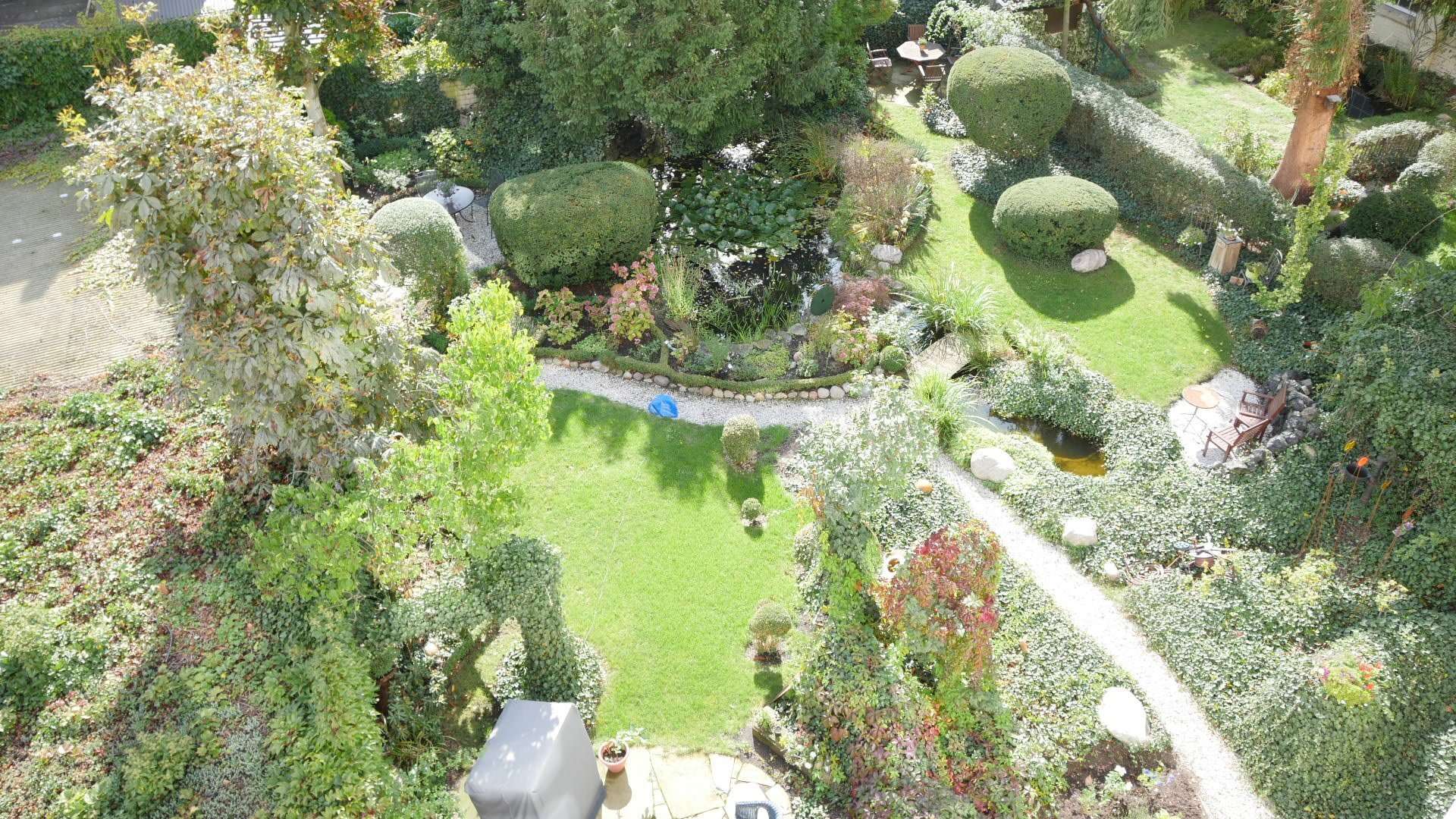 Blick in den Garten